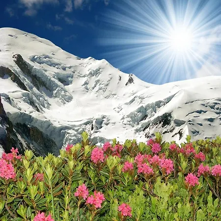 Sainte-foy-l'argentiere Sleeps 6 T454441 * Chamonix